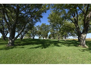 Property photo 50 - Tillable, Pasture, Recreational, Hunting and Fishing Property  